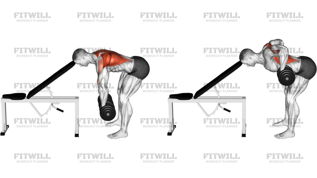 Dumbbell Head Supported Row