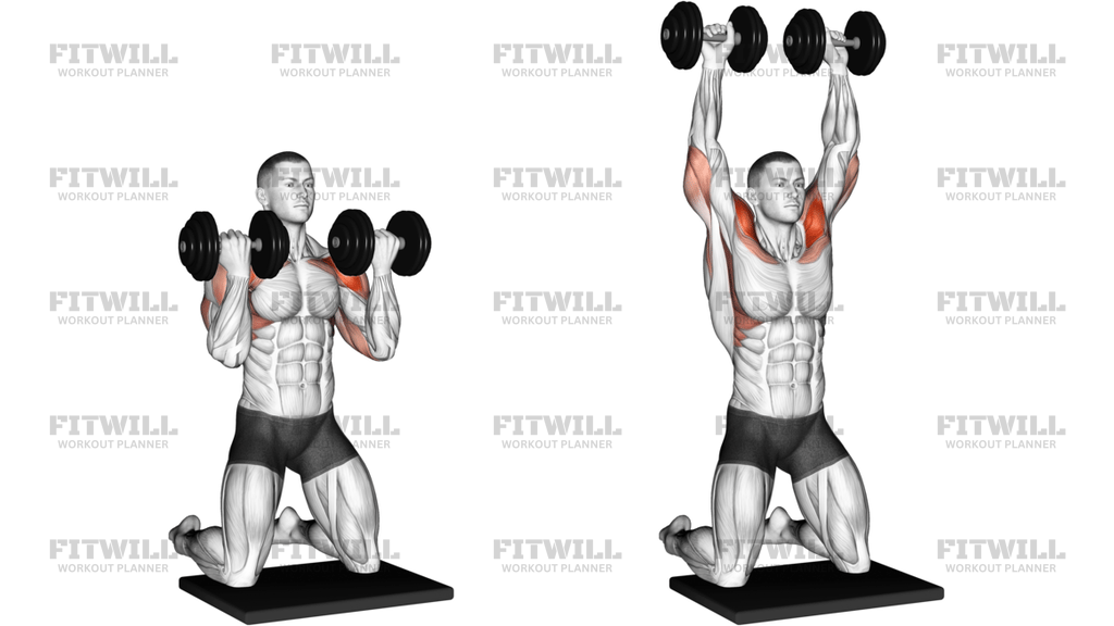 Dumbbell Kneeling Arnold Press