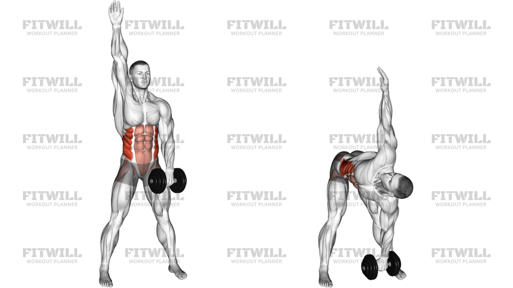 Dumbbell Low Windmill