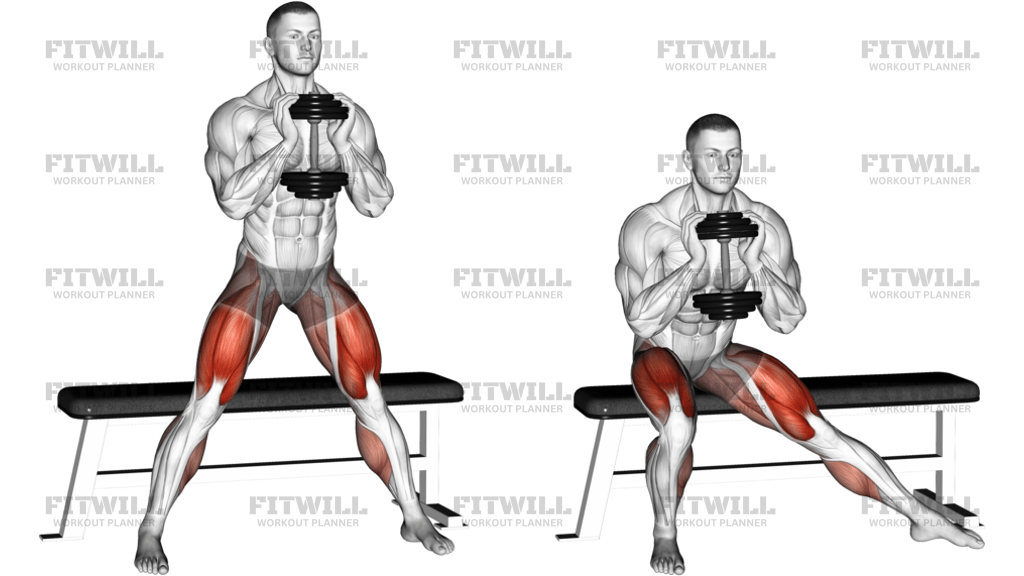 Dumbbell Side Bench Squat