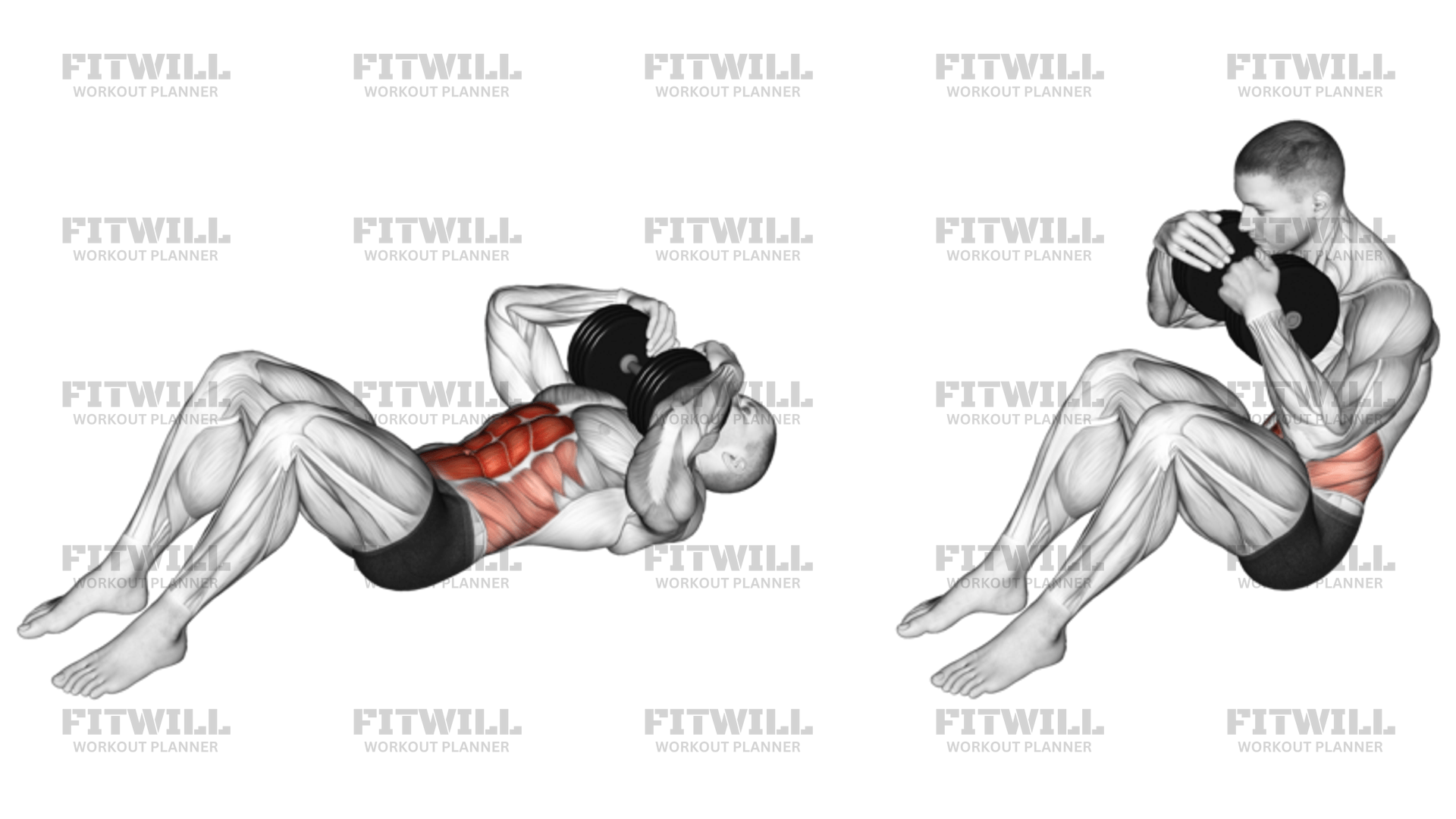 Dumbbell sit up hotsell