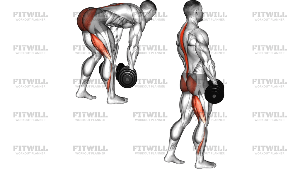 Dumbbell Staggered Stance Romanian Deadlift
