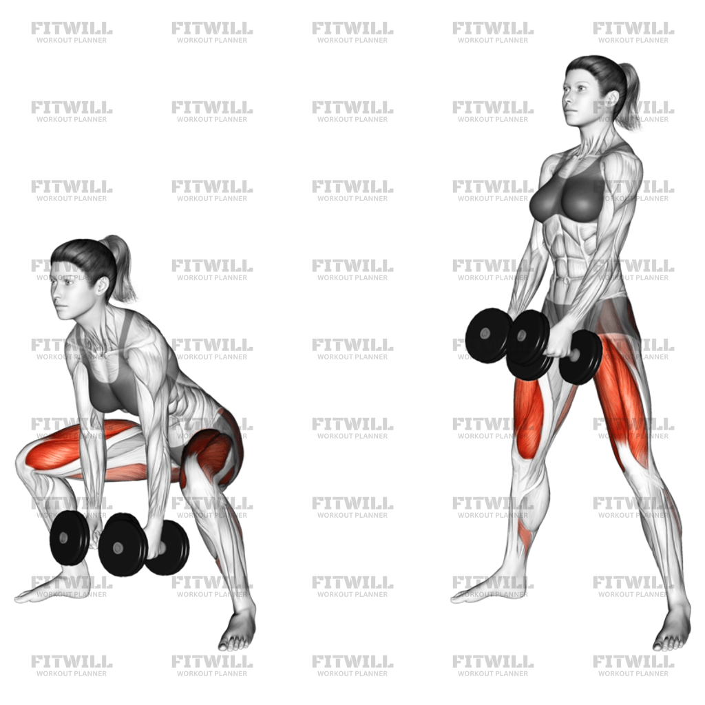 Dumbbell Sumo Deadlift Exercise Guide Video Techniques Benefits How to Muscles Worked Tips Tricks Fitwill