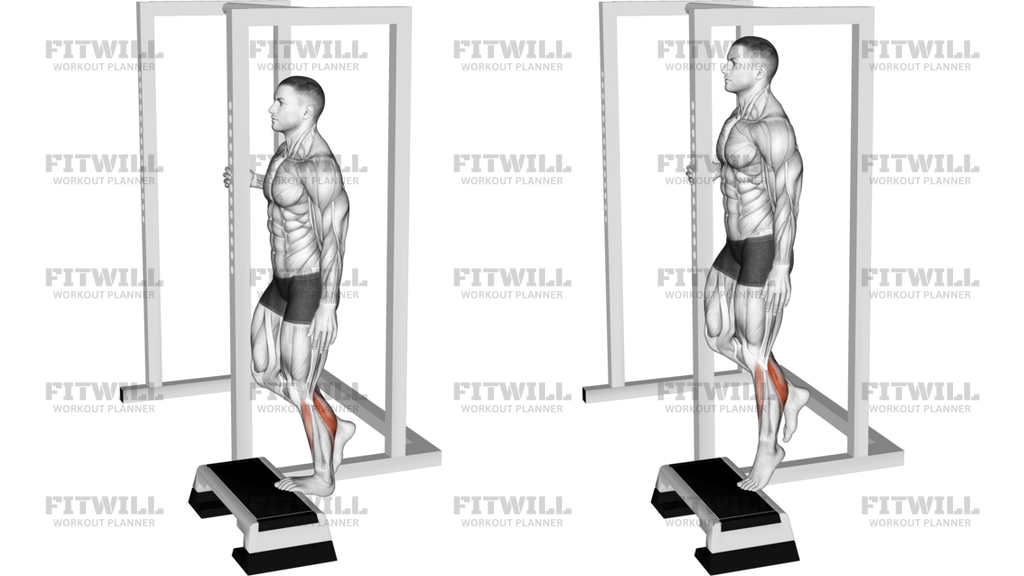 Elevated Standing Single Leg Calf Raise