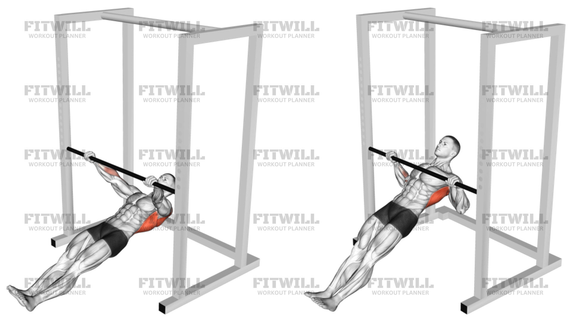 Inverted Wide Row: Guide, Techniques, Benefits, How to, Muscles Worked ...