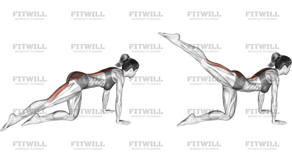 Kneeling Straight Leg Kickback Version 2