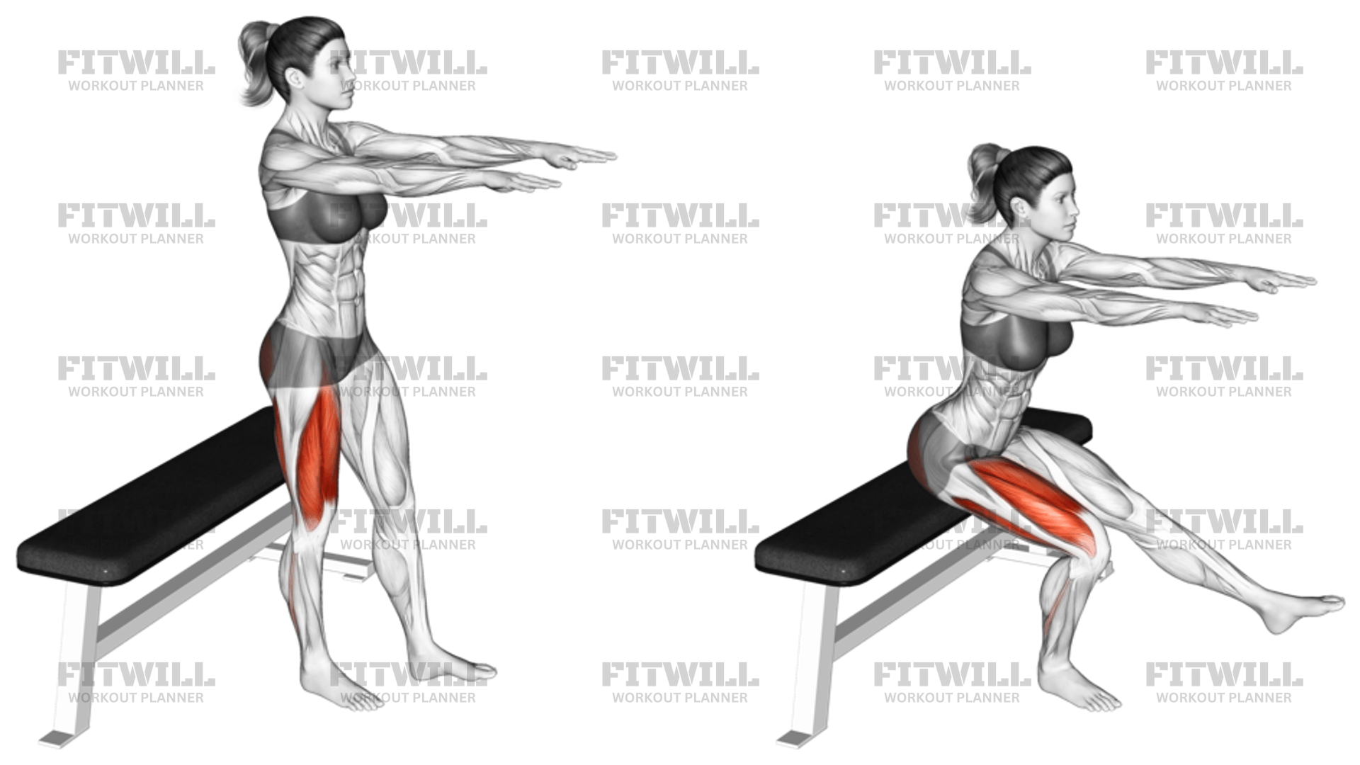 Single Leg Bench Squat Exercise Guide Techniques Benefits How to Muscles Worked Tips Tricks Fitwill