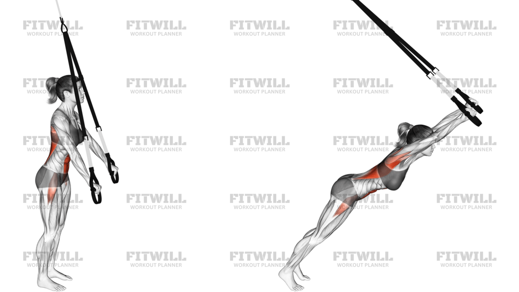 Suspender Rollout Version 2