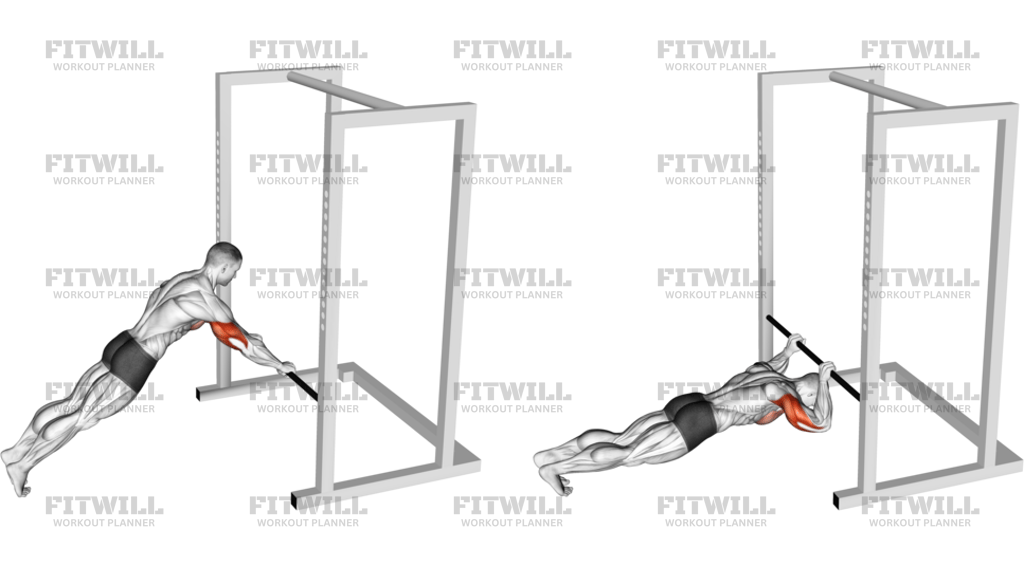 Triceps Press Low Bar Position