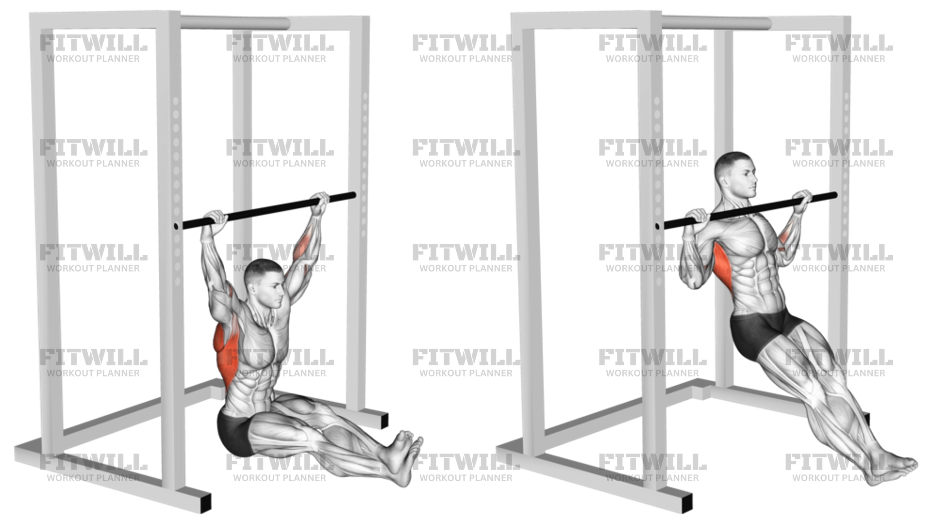 Wide Seated Pull up Exercise Guide Techniques Benefits How to Muscles Worked Tips Tricks Fitwill