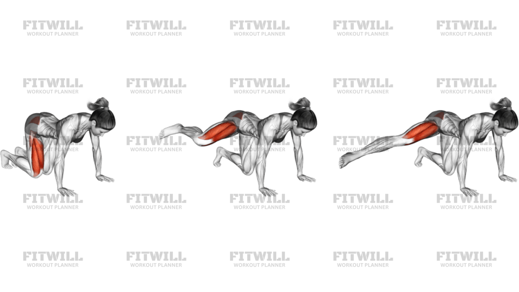 Kneeling Side Leg To Kick