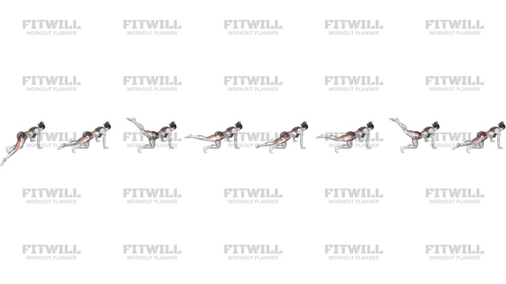 Kneeling Leg Half Circle