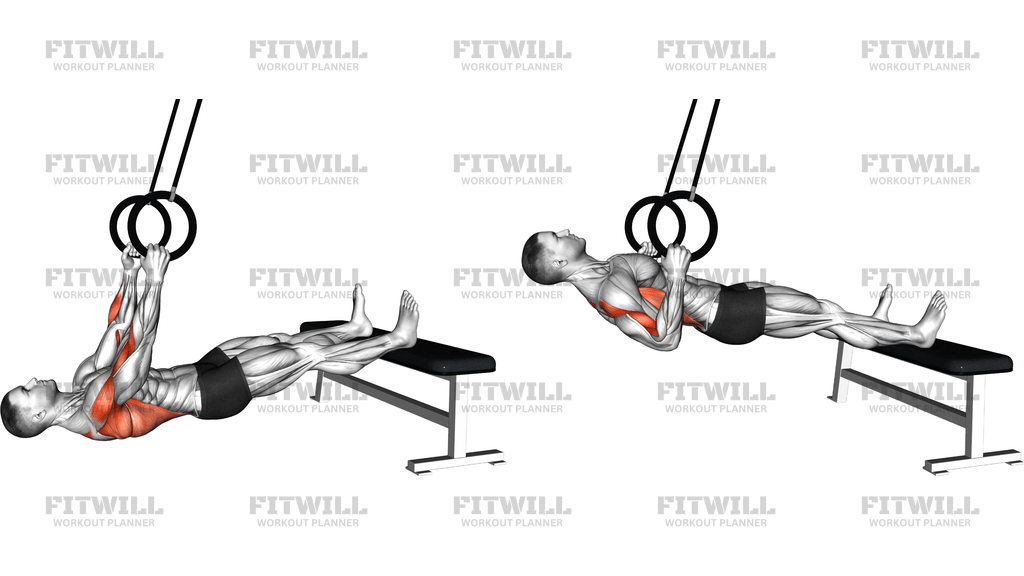 Ring Elevated Row