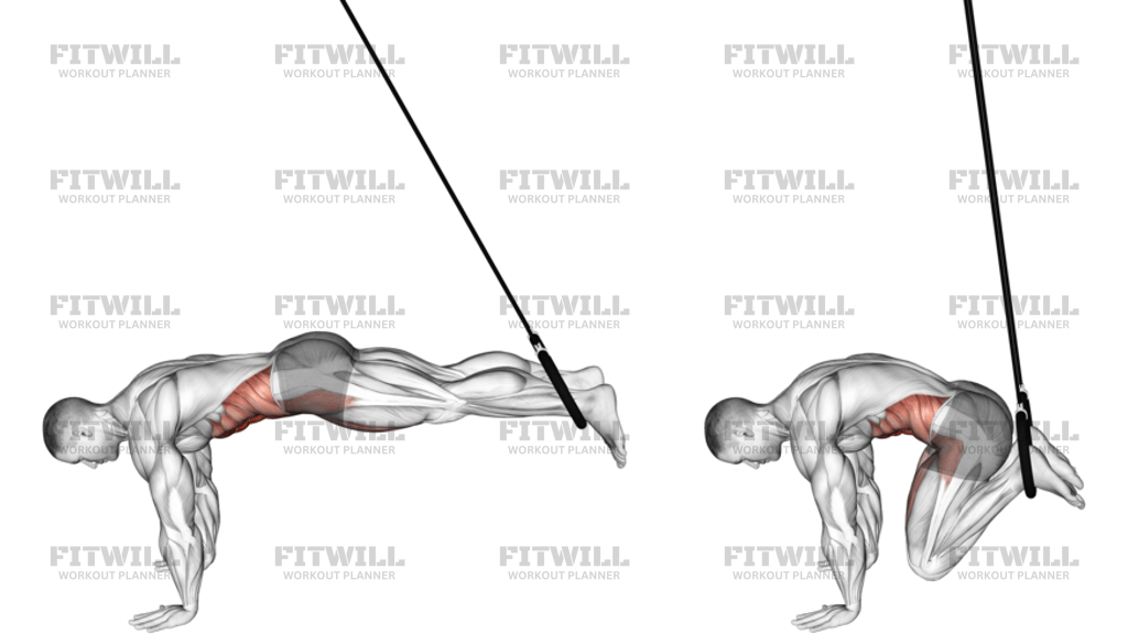 Ring Reverse Ab Rollout