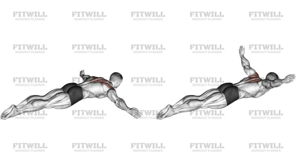 Lying Rear Lateral Raise