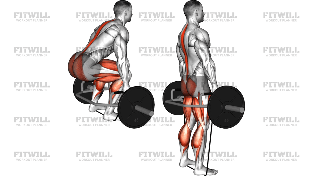 Trap Bar Banded Deadlift
