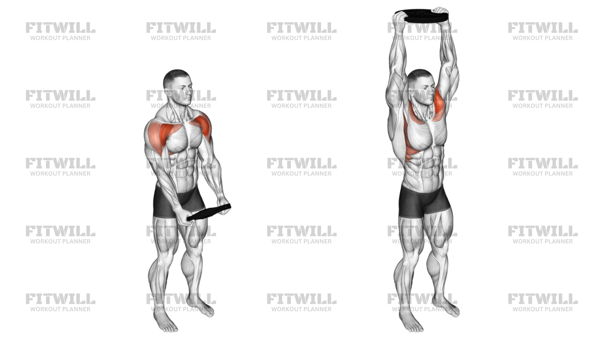 Weighted Plate Standing High Front Raise Exercise Guide Techniques Benefits How to Muscles Worked Tips Tricks Fitwill