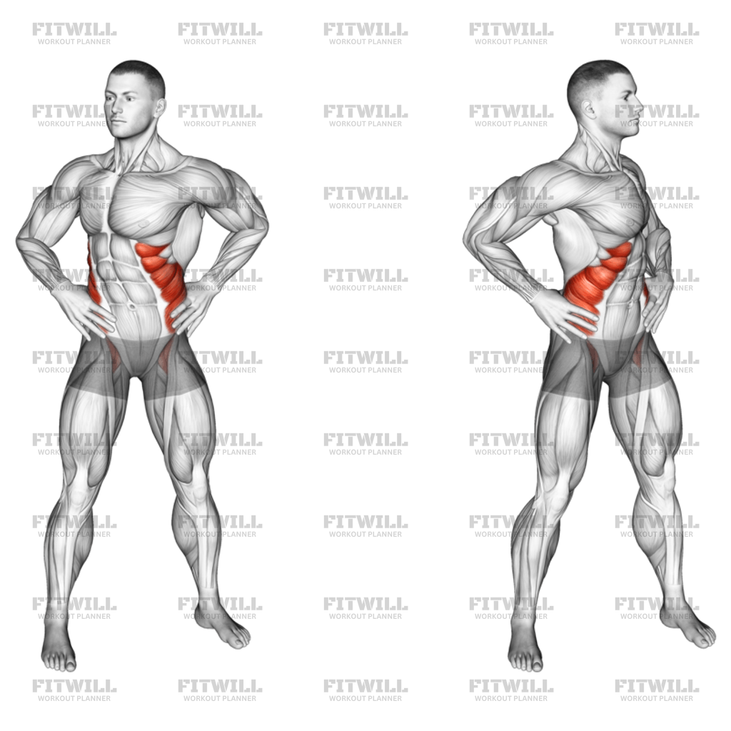 Bodyweight Standing Oblique Twist Exercise Guide Techniques Benefits How to Muscles Worked Tips Tricks Fitwill