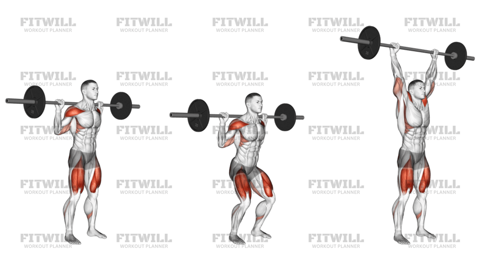 Barbell Behind The Back Push Press Exercise Guide Video Techniques Benefits How to Muscles Worked Tips Tricks Fitwill