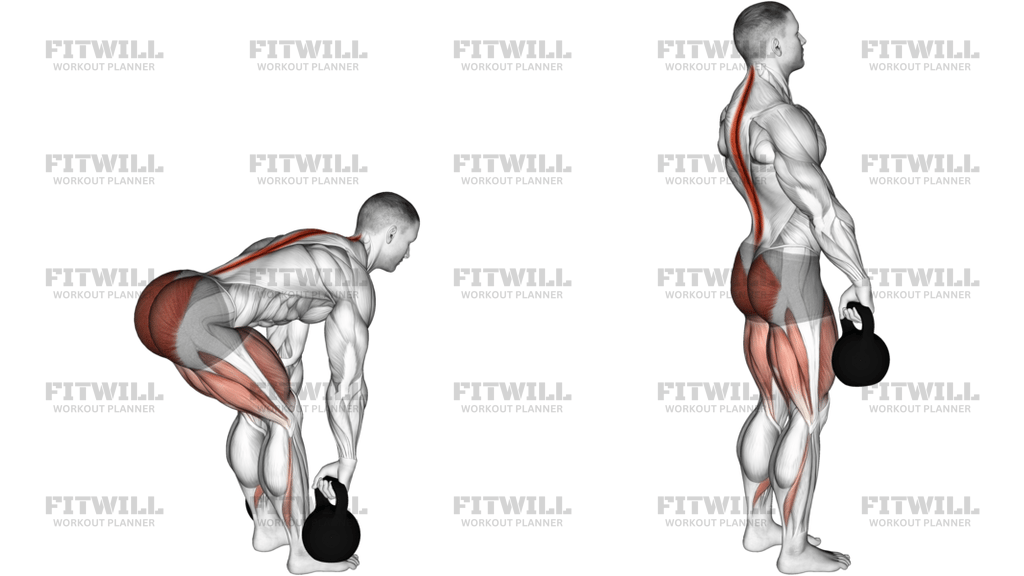 Kettlebell Romanian Deadlift