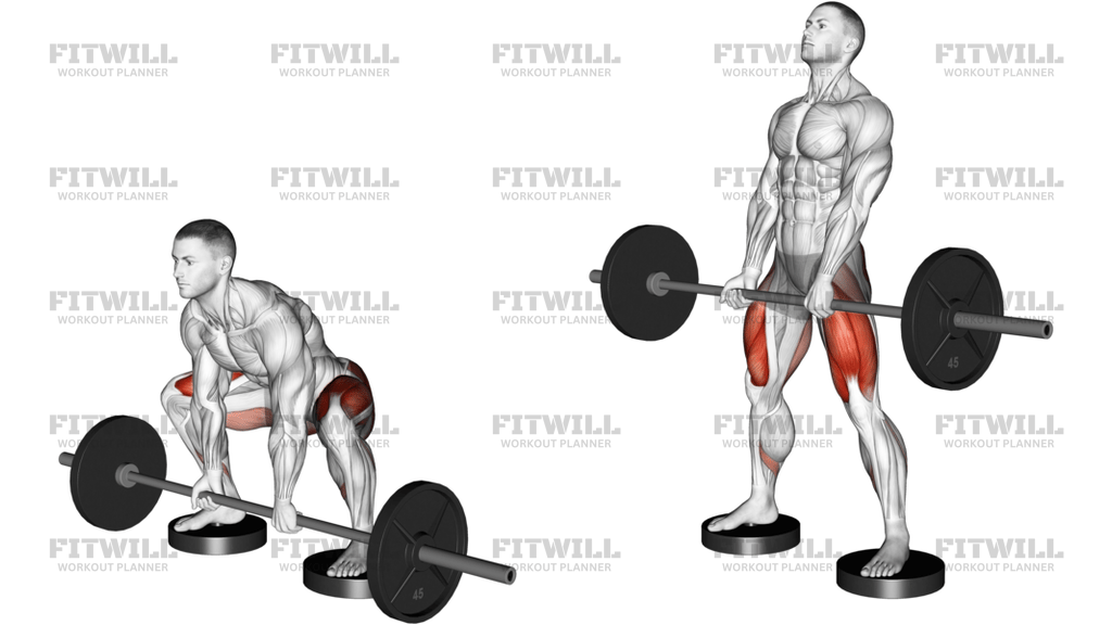 Barbell Sumo Deadlift From Deficit