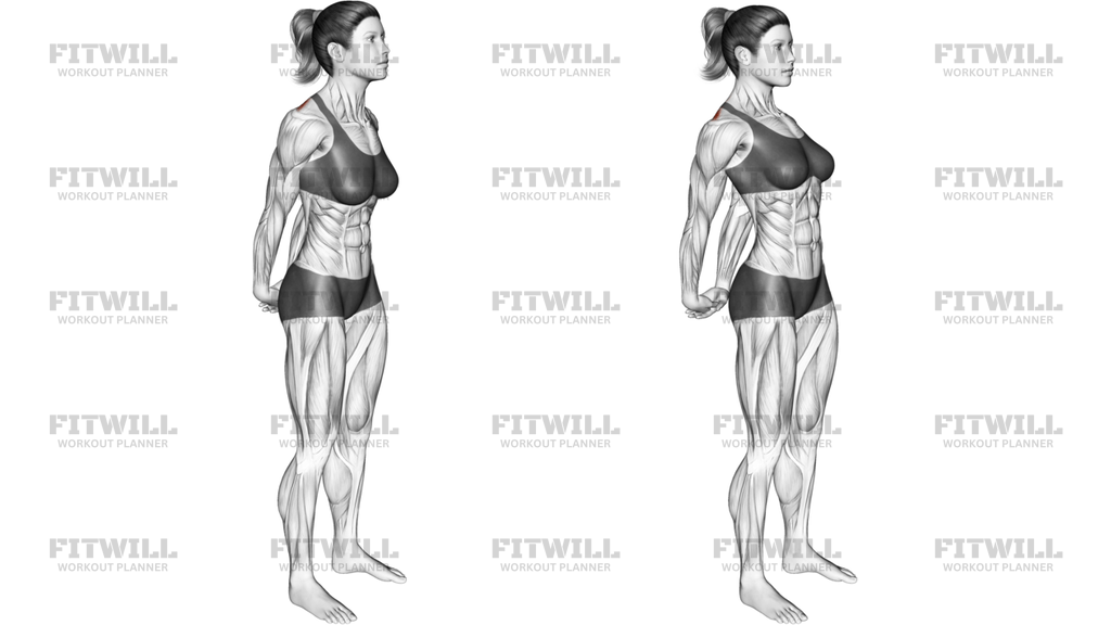 Bodyweight Standing Back Stretch