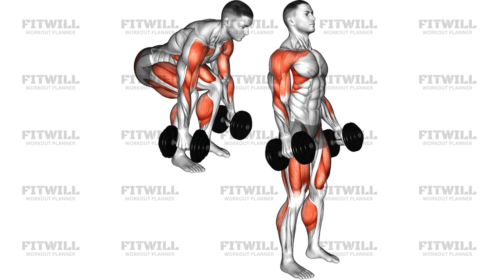 Dumbbell Power Clean