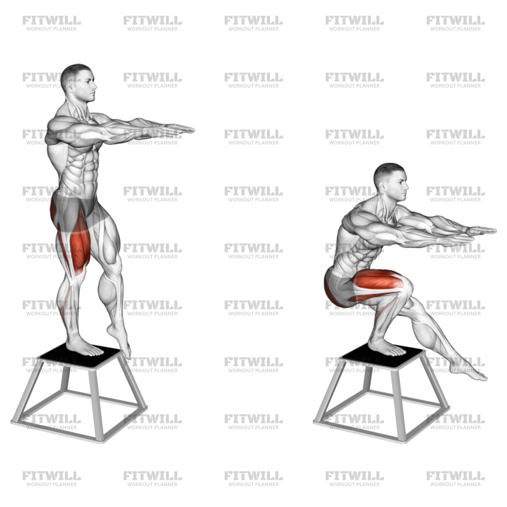 Elevated Single Leg Squat Exercise Guide Techniques Benefits How to Muscles Worked Tips Tricks Fitwill