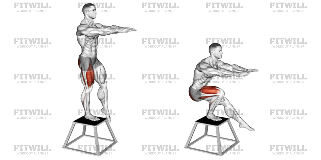 Elevated Single Leg Squat: Exercise Guide, Techniques, Benefits, How to ...