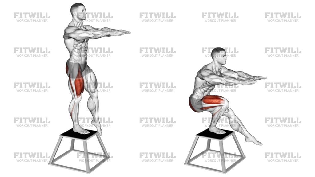 Elevated Single Leg Squat: Exercise Guide, Techniques, Benefits, How to ...