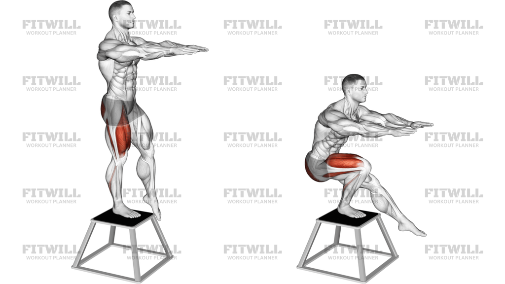Elevated Single Leg Squat