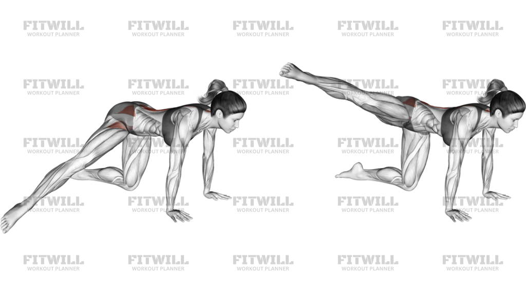 Kneeling Straight Leg Side Kick