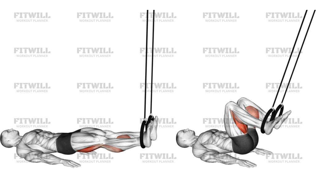 Ring Leg Curl Version 2