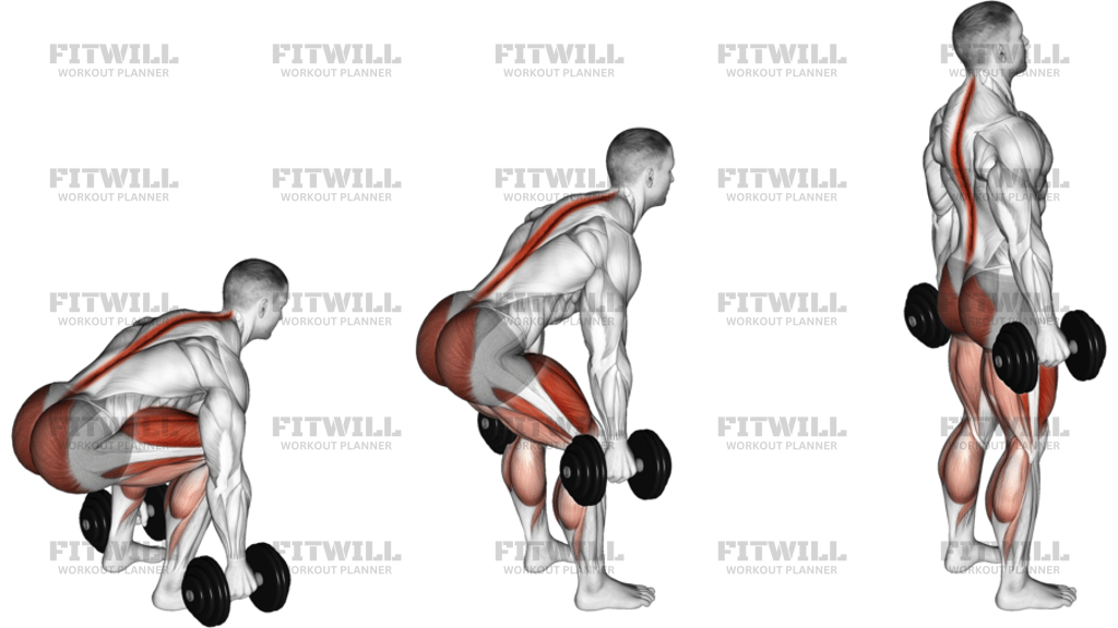 Dumbbell Deadlift Neutral Grip
