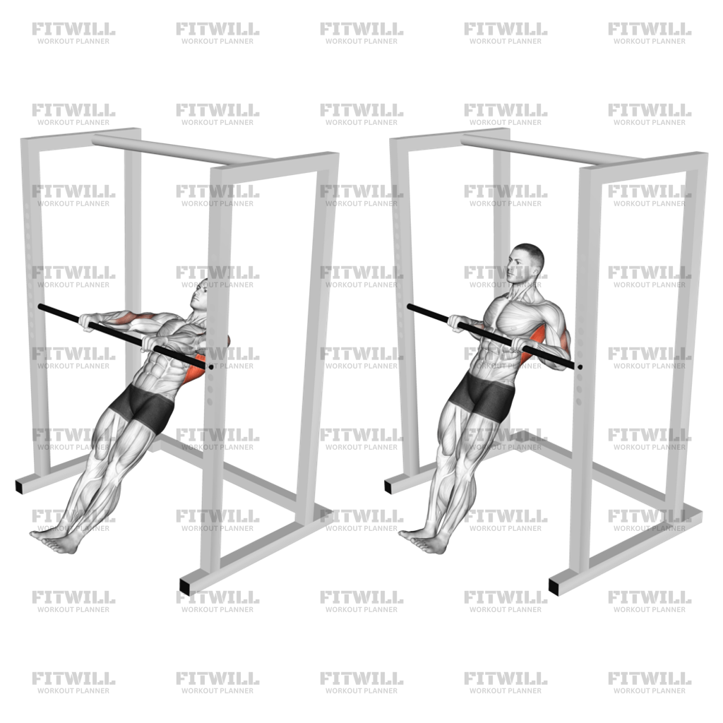 High Bar Inverted Row Exercise Guide Techniques Benefits How to Muscles Worked Tips Tricks Fitwill