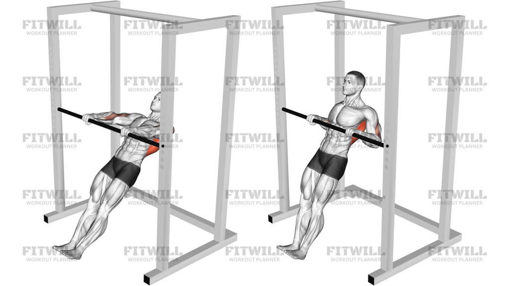 High Bar Inverted Row