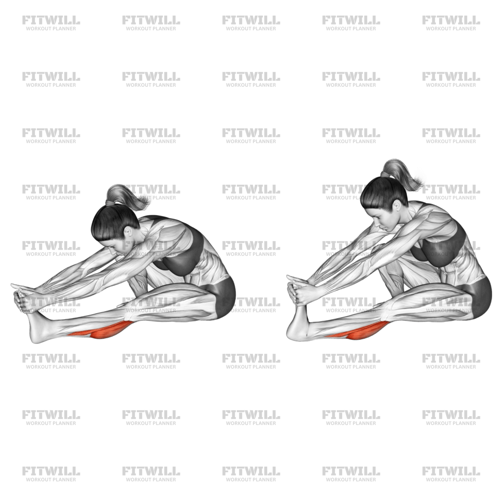 Seated Calf Stretch Version 2 Exercise Guide Video Techniques Benefits How to Muscles Worked Tips Tricks Fitwill