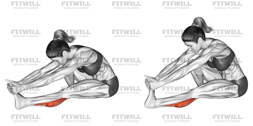 Seated Calf Stretch Version 2 Exercise Guide Video Techniques Benefits How to Muscles Worked Tips Tricks Fitwill