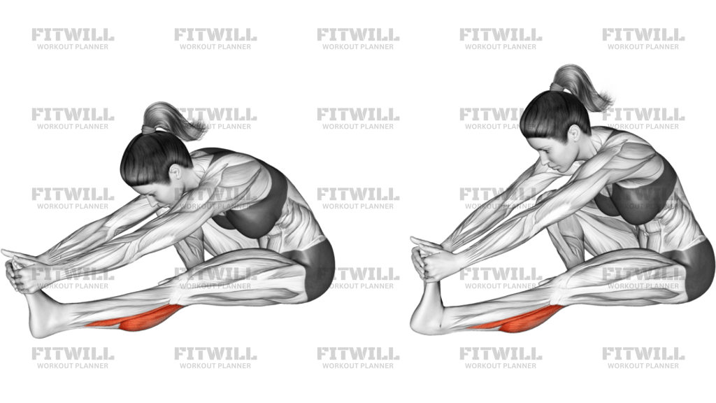 Seated Calf Stretch Version 2