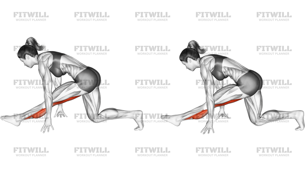 Single Leg Calve Stretch