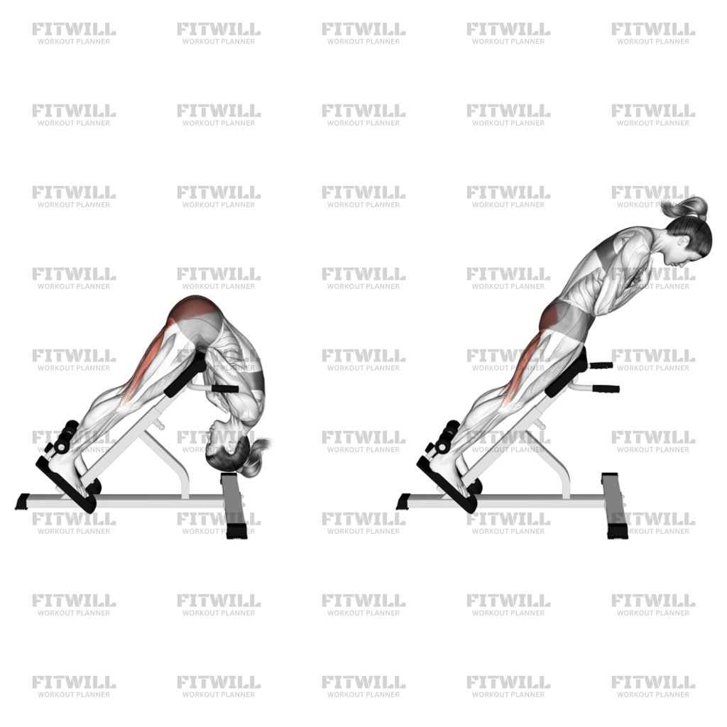 45 degree glute extension hotsell