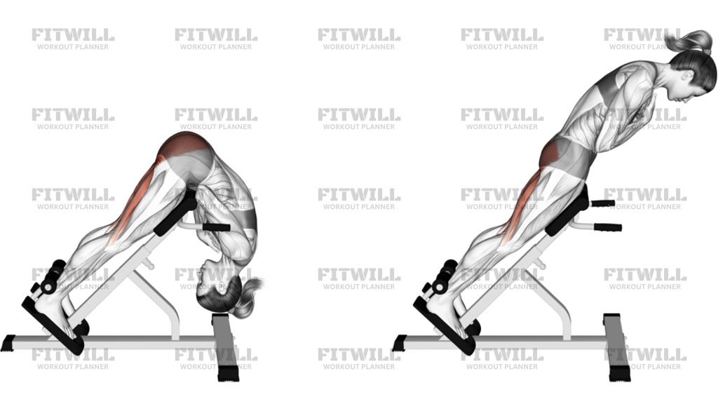 Roman Chair 45 Degree Hip Extension Glute Focused