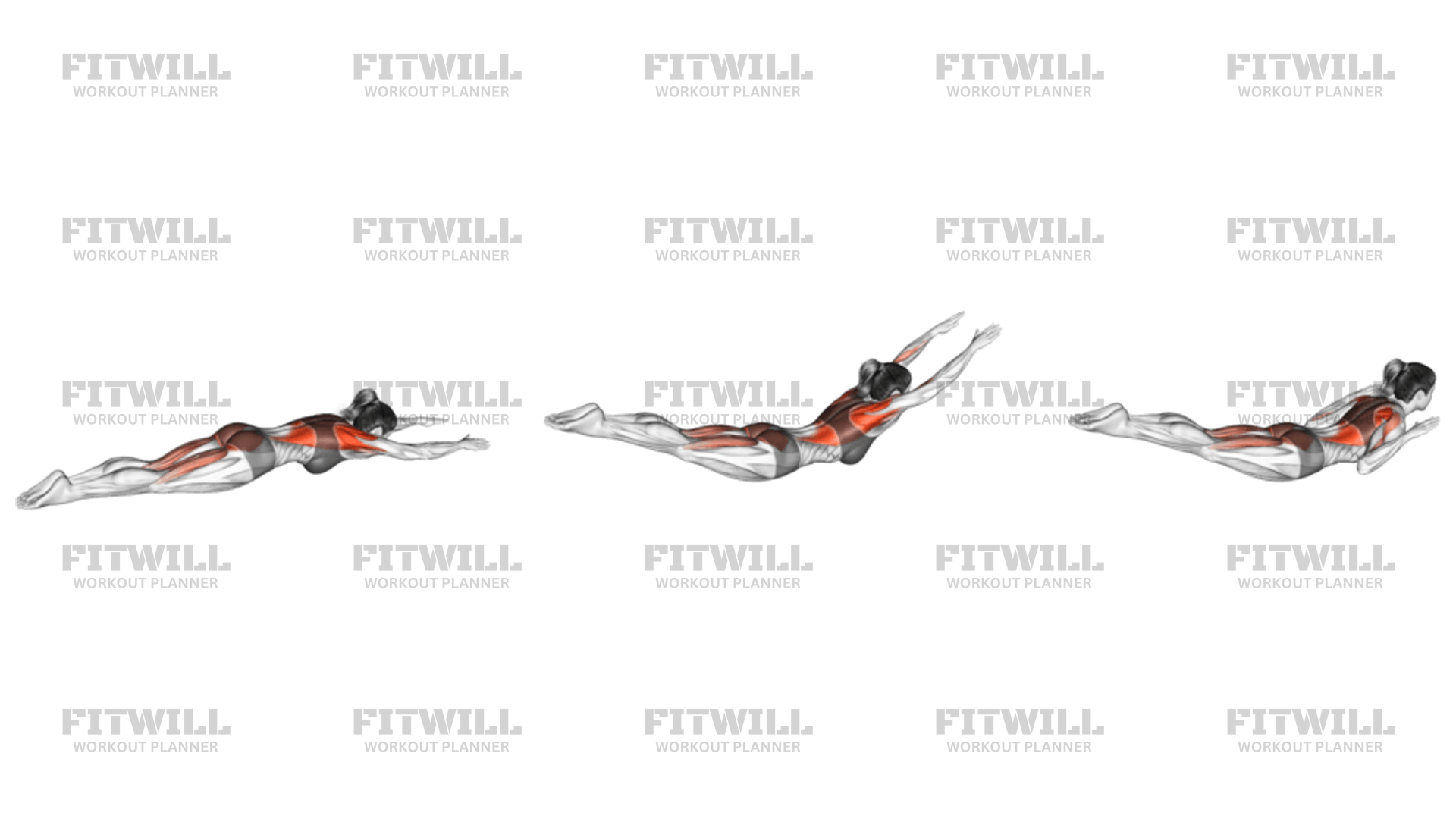 superman-row-exercise-guide-video-techniques-benefits-how-to
