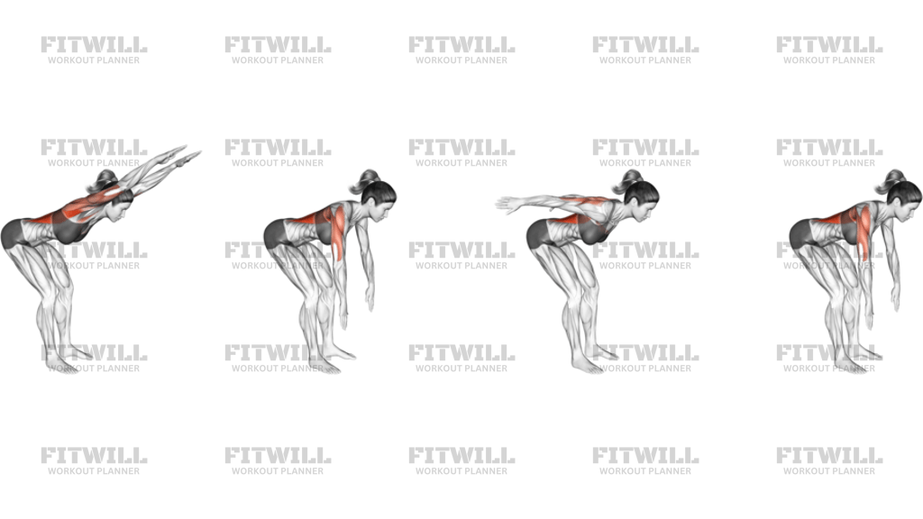 고정 팔 휘두르기 (Stationary Arms Throw)