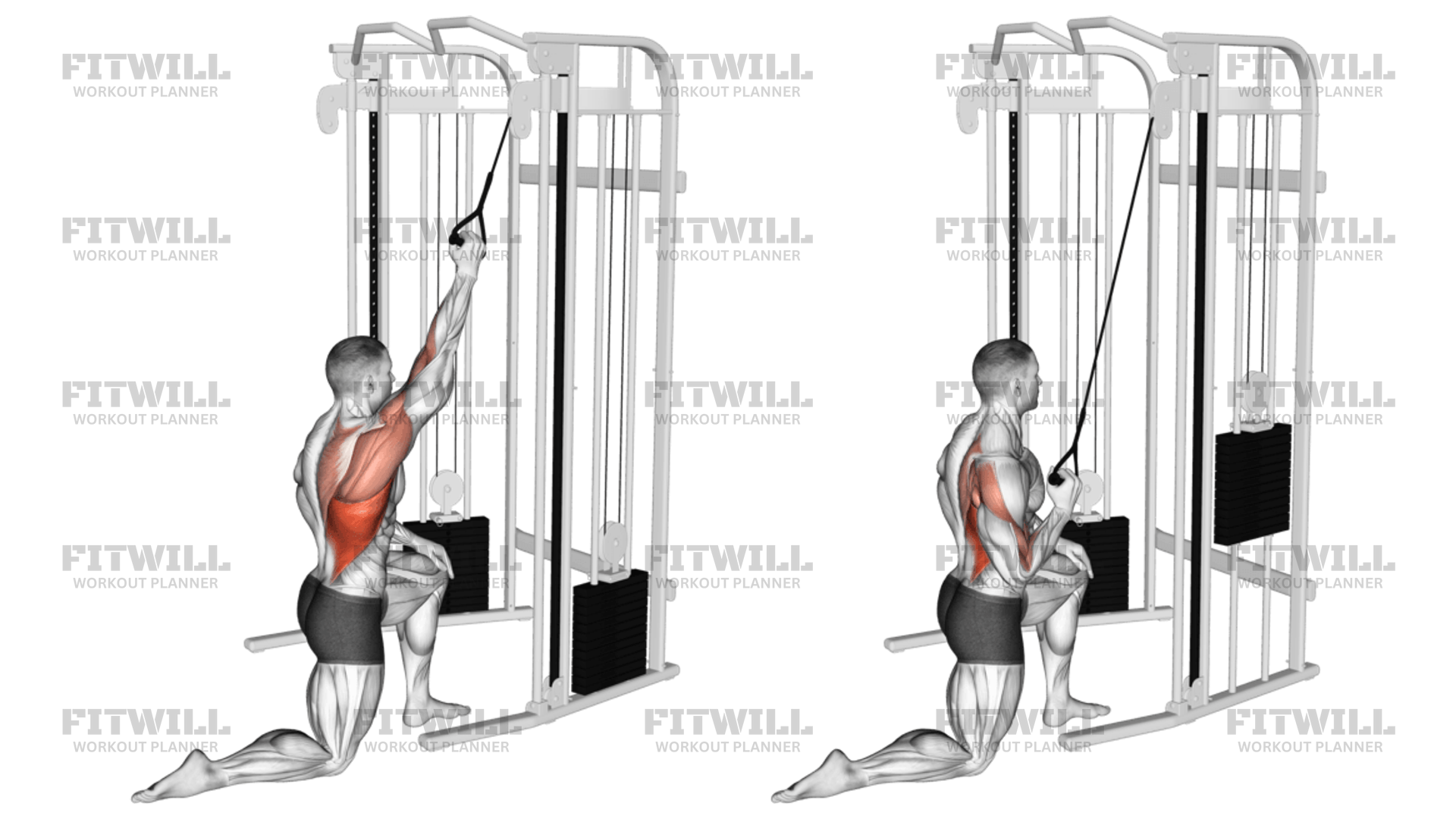 Cable Kneeling One Arm Lat Pulldown Exercise Guide, Video, Techniques, Benefits, How to