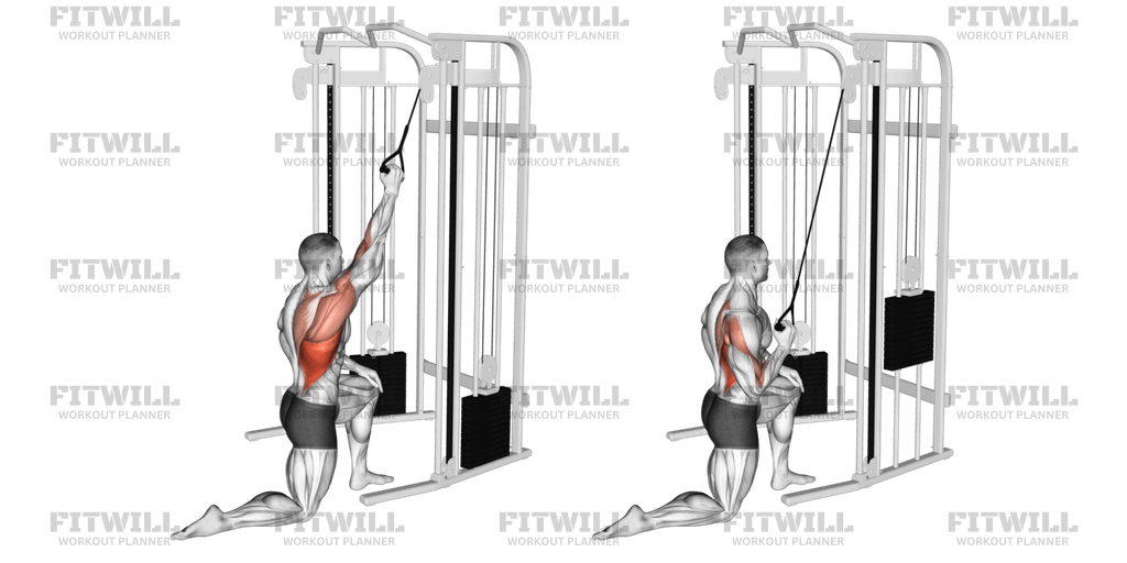 Cable Kneeling One Arm Lat Pulldown Exercise Guide Video Techniques Benefits How to Muscles Worked Tips Tricks Fitwill