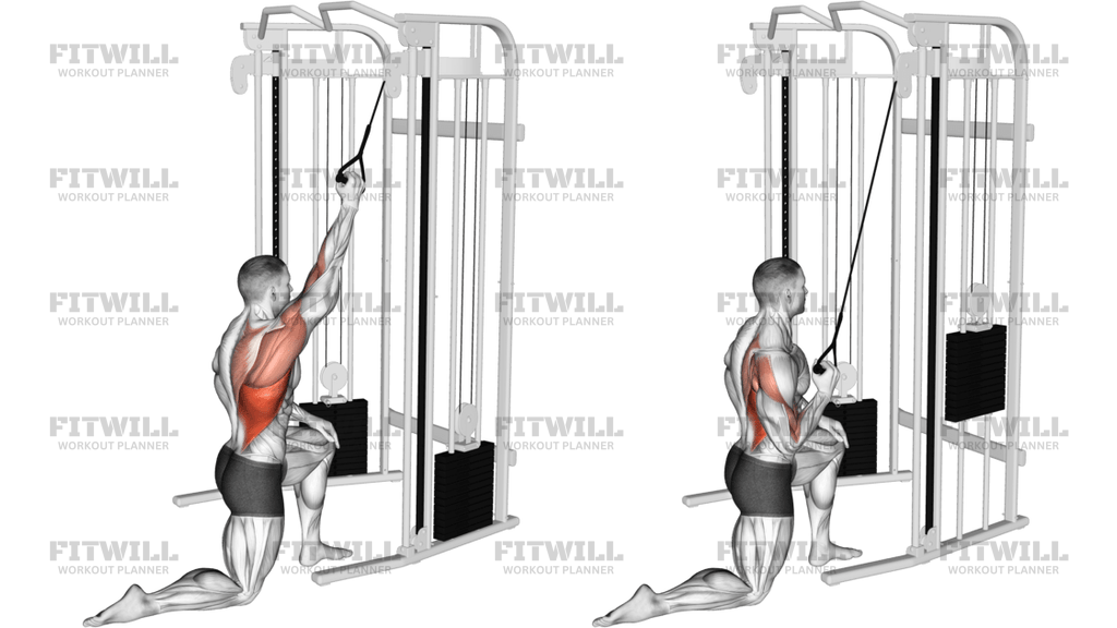 Cable Kneeling One-Arm Lat Pulldown