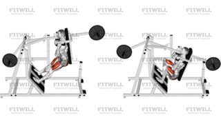 Lever Pendulum Squat Plate Loaded