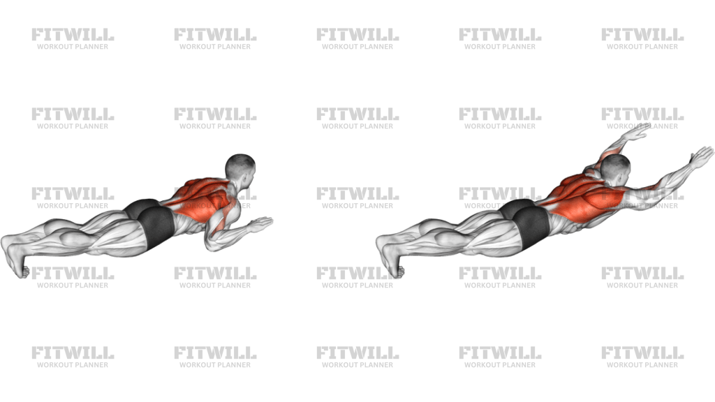 Bodyweight Lying On Stomach Lat Pulldown
