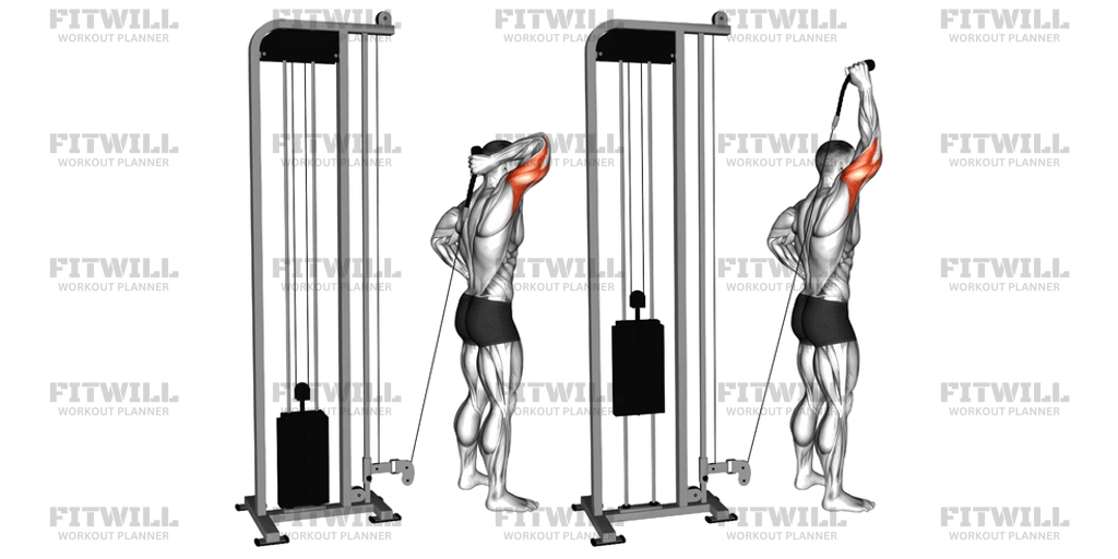 Cable Overhead Single-Arm Triceps Extension Rope Attachment: Exercise ...